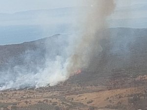 İ̇zmir’de Makilik Alanda Yangın