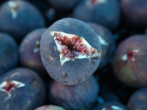 Büyükşehir Devreye Girdi, Üreticilerin Yüzü Güldü