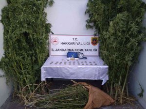 Yüksekova’da Uyuşturucu Operasyonu