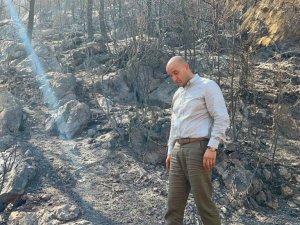 Mhp’li Kılavuz, Mersin’deki Yangın Bölgesinden İncelemelerde Bulundu