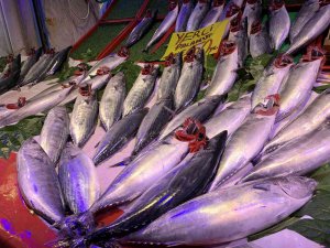 Tezgahlar Palamutla Doldu Taştı, Vatandaş Yoğun İlgi Gösterdi