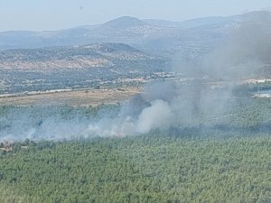 Ormanlık Alanda Çıkan Yangın Kontrol Altına Alındı