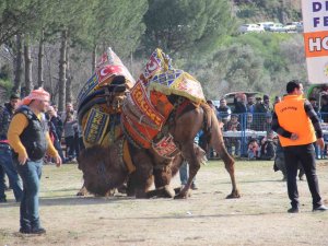 Sezonun İlk Güreşi Umurlu’da Yapılacak