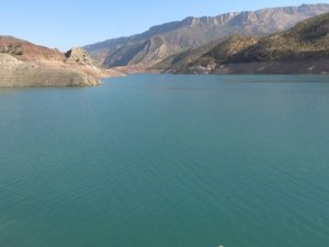Siirt’te Kaçak Avcılara Jandarmadan Suçüstü