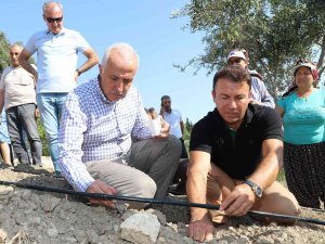 Şifalı Bitki Olarak Bilinen ’Şevketi Bostan’ Tohumları Akdeniz’de Toprakla Buluştu