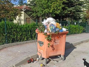 Vatandaşın Kırık Çöp Konteyneri İle İmtihanı