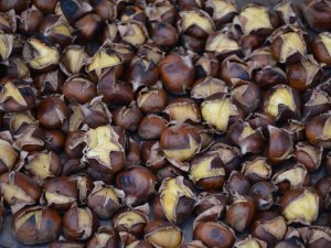 Sinop Kestanesi Tezgahlarda