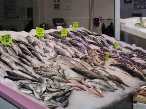 Antalya’da Av Sezonun Açılmasıyla Balıklar Tezgahlardaki Yerini Aldı