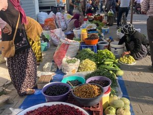 Vatandaşın Tercihi Havran Köylü Pazarı