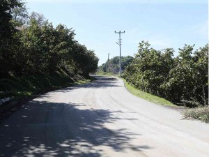 Büyükşehir’den 5 Mahalleye Beton Yol