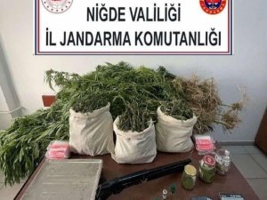 Jandarmadan Uyuşturucu Operasyonu