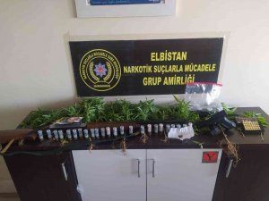 Elbistan’da Saksıda Kenevir Yetiştirilen Eve Operasyon