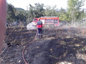 Anız Yangını Büyümeden Söndürüldü