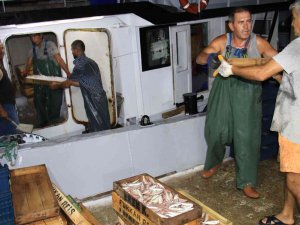 Akdeniz’den Balıkçılar 24 Saat Sonra İlk Avlarla Döndü