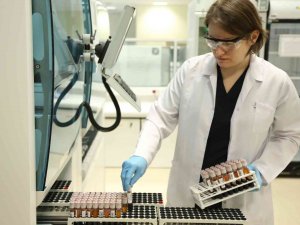 Türkök’ün Kuruluşuyla Kök Hücre Bağışları Hızlandı