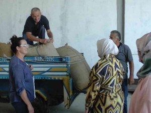 Tmo Akçakoca’dan 600 Ton Fındık Aldı