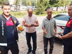 Yavru Kedi Uzun Uğraşlar Sonucu Araç Altından Çıkarıldı