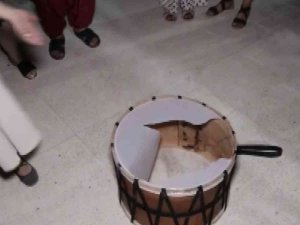 Çılgın Davulcu Kendinden Geçti, Davulu Patlattı