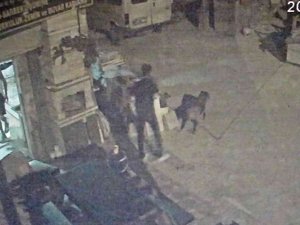 Antalya’da Akıl Almaz Olay, Tartıştığı Arkadaşına Sinirlenip Aynı İsmi Taşıyan Köpeği Vurdu