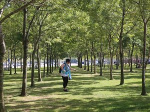 81 İlde Eş Zamanlı Temizlik