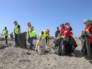Van Gölü Sahilinde Çevre Temizliği: 20 Ton Çöp Toplandı