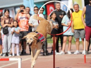 Hobifest 2022 Renkli Görüntülerle Başladı