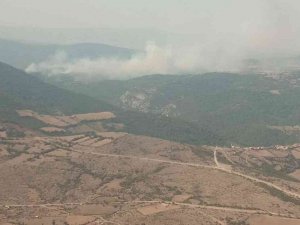 Kepsut’taki Orman Yangınına Müdahale Sürüyor