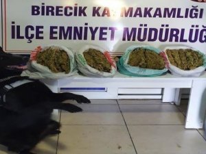 Şanlıurfa’da Narkotik Köpeği ’Kyra’ Uyuşturucuya Geçit Vermedi