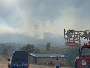 Eskişehir’de Çıkan Orman Yangınına Müdahale Devam Ediyor