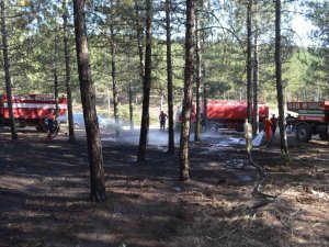 Tavşanlı’da Orman Yangını Söndürüldü