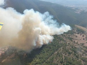 Balıkesir’de Orman Yangını Kontrol Altında
