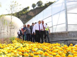 Çöp Tesisi Çiçek Bahçesine Döndü