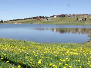 Trabzon’da Kuraklığa Karşı Önlem Göletler