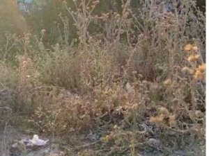 Sincan’da Korkutan Gecekondu Yangını
