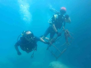 Dünya Temizlik Günü’nde Denizden Market Arabası Çıktı