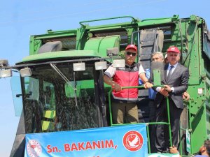 Bakan Kirişci Amik Ovası’nda Pamuk Hasadına Katıldı