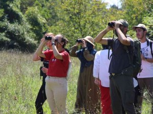 Ballıkayalar’da Biyoçeşitlilik Kayıt Altına Alındı