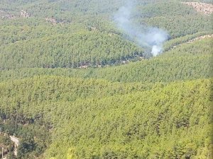 Alanya’da Orman Yangınında 2 Dönüm Alan Zarar Gördü