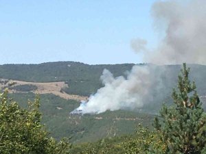Tokat’ta Orman Yangını