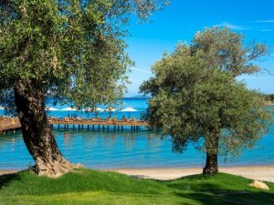 Rixos Olive Fest İçin Geri Sayım Başladı
