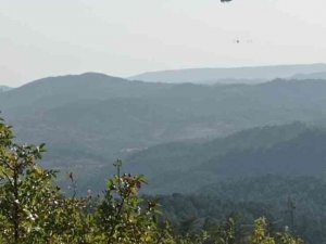 Çorum’da Orman Yangını