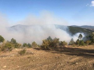 Çorum’daki Orman Yangını Kontrol Altına Alındı