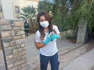 Bodrum’da Evleri Yanan Vatandaşlar Gözyaşlarına Hakim Olamadı