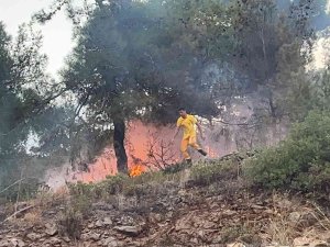 Hatay’da Ormanlık Alanda Çıkan Yangın Evlere Sıçramadan Söndürüldü