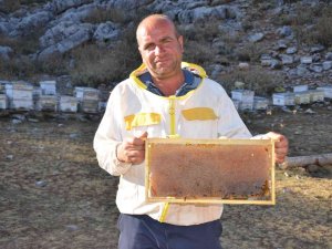 Siparişler Kovandan Çıkmadan Alınıyor, Kilogramı 300 Tl’den Satılıyor