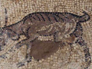 Filistinli Çiftçi Ağaç Dikmek İsterken Arkeolojik Keşif Yaptı