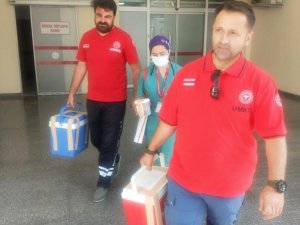 Organ Bağışı 3 Hastaya Şifa Oldu
