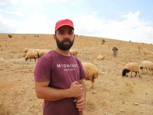 Tek Umutları Olan Köy Onları Yeniden Hayata Bağladı