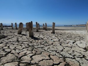 Van Gölü’nde Büyük Su Kaybı: 100 Yıllık İskele Tamamen Ortaya Çıktı