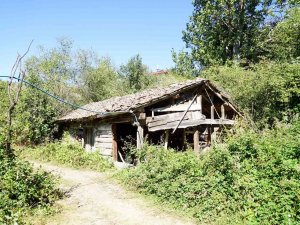 Susuz Kalan 500 Yılık Değirmen Çürümeye Yüz Tuttu